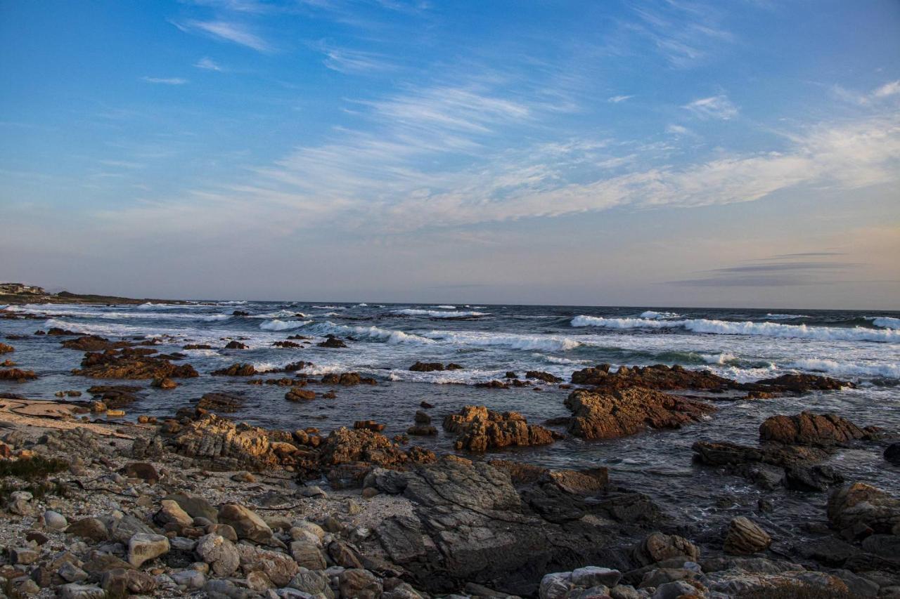 Snails' End Cottage Hermanus Kültér fotó